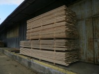 /album/fotogalerie/p1250042-jpg1/