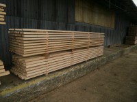 /album/fotogalerie/p1250044-jpg1/