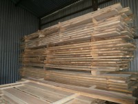 /album/fotogalerie/p1250045-jpg1/