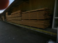 /album/fotogalerie/p9110011-jpg/