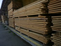 /album/fotogalerie/p9110014-jpg/