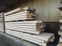 /album/fotogalerie/dsc04880-jpg/