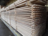 /album/fotogalerie/dsc04885-jpg/