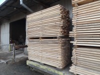 /album/fotogalerie/dsc04887-jpg/