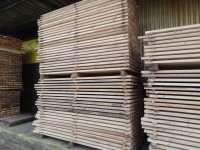 /album/fotogalerie/dsc04888-jpg/