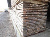 /album/fotogalerie/dsc04901-jpg/